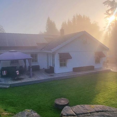 Family Friendly Villa With Sauna In The Nature ボロース エクステリア 写真
